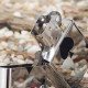 Фото Зажигалка Zippo Lucky Ace, 24011 купить в Украине по недорогой цене для рыбалки Фото Зажигалка Zippo Lucky Ace, 24011 купить в Украине по недорогой цене для рыбалки