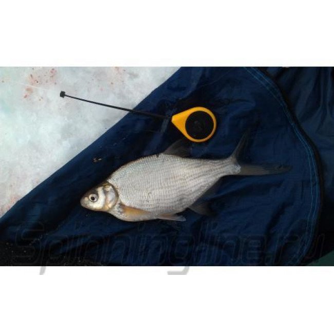 Фото Зимняя удочка-балалайка Salmo Sport 24 желтая купить в Украине по недорогой цене для рыбалки