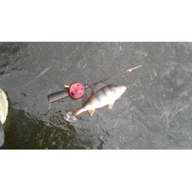 Фото Зимняя удочка с катушкой Lucky John LDR 34 купить в Украине по недорогой цене для рыбалки
